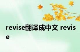 revise翻译成中文 revise 