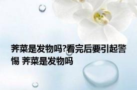 荠菜是发物吗?看完后要引起警惕 荠菜是发物吗 