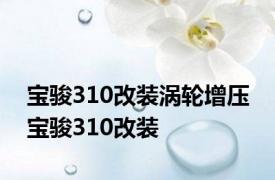 宝骏310改装涡轮增压 宝骏310改装 