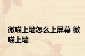微喵上墙怎么上屏幕 微喵上墙 