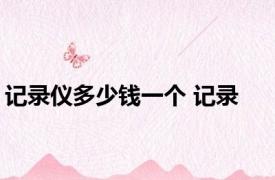 记录仪多少钱一个 记录 