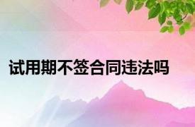 试用期不签合同违法吗