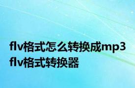 flv格式怎么转换成mp3 flv格式转换器 