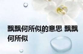 飘飘何所似的意思 飘飘何所似 