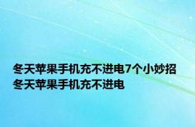 冬天苹果手机充不进电7个小妙招 冬天苹果手机充不进电 