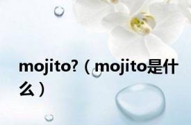 mojito?（mojito是什么）