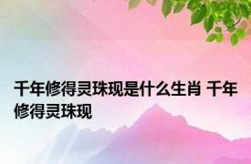 千年修得灵珠现是什么生肖 千年修得灵珠现 