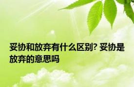 妥协和放弃有什么区别? 妥协是放弃的意思吗