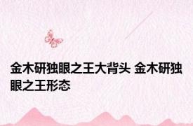 金木研独眼之王大背头 金木研独眼之王形态 