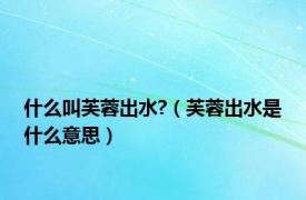 什么叫芙蓉出水?（芙蓉出水是什么意思）
