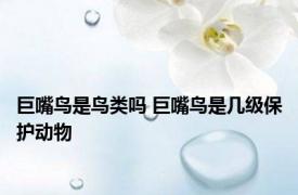 巨嘴鸟是鸟类吗 巨嘴鸟是几级保护动物 