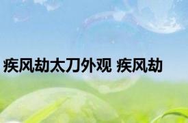 疾风劫太刀外观 疾风劫 