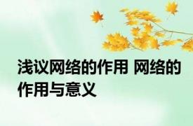 浅议网络的作用 网络的作用与意义