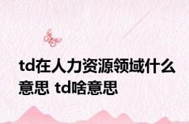 td在人力资源领域什么意思 td啥意思 