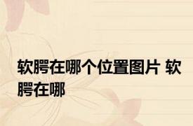 软腭在哪个位置图片 软腭在哪 