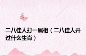 二八佳人打一属相（二八佳人开过什么生肖）