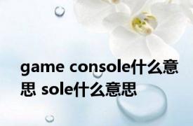 game console什么意思 sole什么意思 