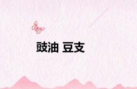 豉油 豆支 