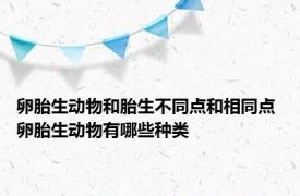 卵胎生动物和胎生不同点和相同点 卵胎生动物有哪些种类
