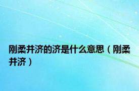 刚柔并济的济是什么意思（刚柔并济）