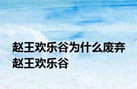 赵王欢乐谷为什么废弃 赵王欢乐谷 