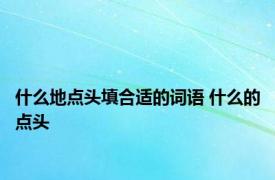 什么地点头填合适的词语 什么的点头 