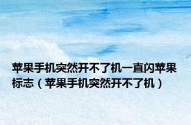 苹果手机突然开不了机一直闪苹果标志（苹果手机突然开不了机）
