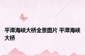 平潭海峡大桥全景图片 平潭海峡大桥 