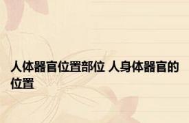 人体器官位置部位 人身体器官的位置 