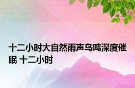 十二小时大自然雨声鸟鸣深度催眠 十二小时 
