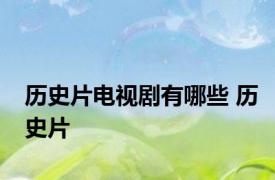 历史片电视剧有哪些 历史片 