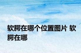 软腭在哪个位置图片 软腭在哪 