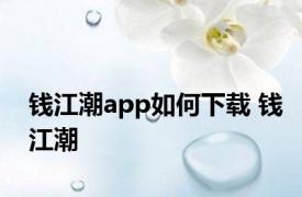 钱江潮app如何下载 钱江潮 