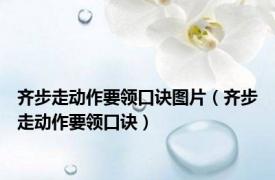 齐步走动作要领口诀图片（齐步走动作要领口诀）