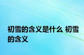 初雪的含义是什么 初雪的含义 