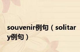 souvenir例句（solitary例句）