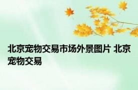 北京宠物交易市场外景图片 北京宠物交易 