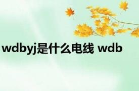 wdbyj是什么电线 wdb 