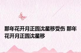 那年花开月正圆沈星移受伤 那年花开月正圆沈星移 