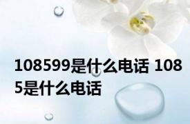 108599是什么电话 1085是什么电话 