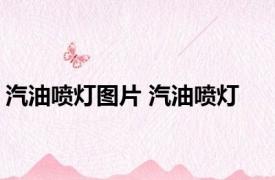 汽油喷灯图片 汽油喷灯 
