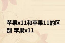 苹果x11和苹果11的区别 苹果x11 