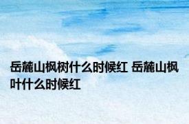 岳麓山枫树什么时候红 岳麓山枫叶什么时候红 