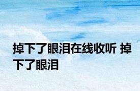 掉下了眼泪在线收听 掉下了眼泪 