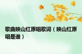 歌曲映山红原唱歌词（映山红原唱是谁）
