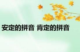 安定的拼音 肯定的拼音 