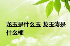 龙玉是什么玉 龙玉涛是什么梗