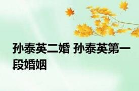 孙泰英二婚 孙泰英第一段婚姻 