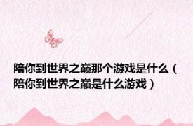 陪你到世界之巅那个游戏是什么（陪你到世界之巅是什么游戏）