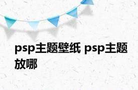 psp主题壁纸 psp主题放哪 